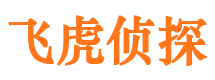 西陵市侦探